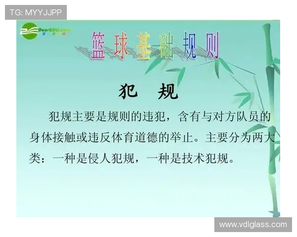 篮球技术犯规规则详解与判罚标准